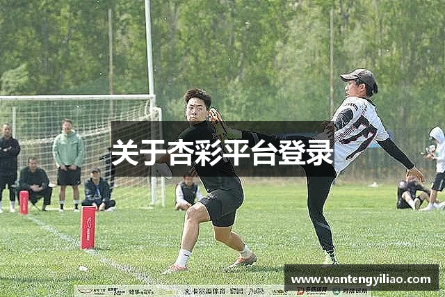 关于杏彩平台登录